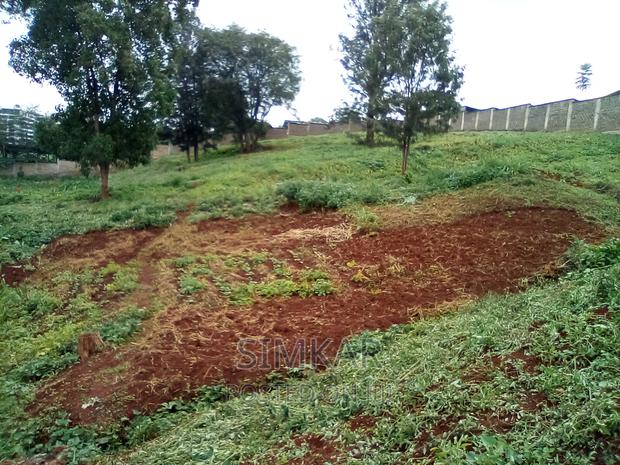 0.5-Acre Plots for Sale in Rosslyn - thumbnail 15