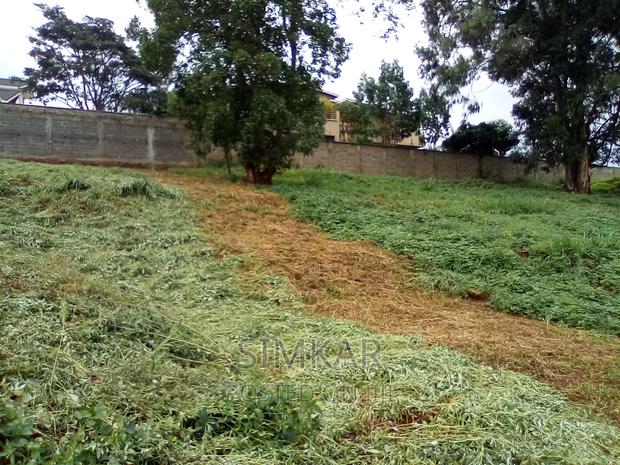 0.5-Acre Plots for Sale in Rosslyn - thumbnail 18