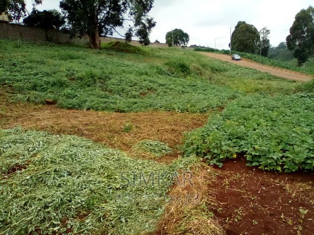 0.5-Acre Plots for Sale in Rosslyn - thumbnail 19