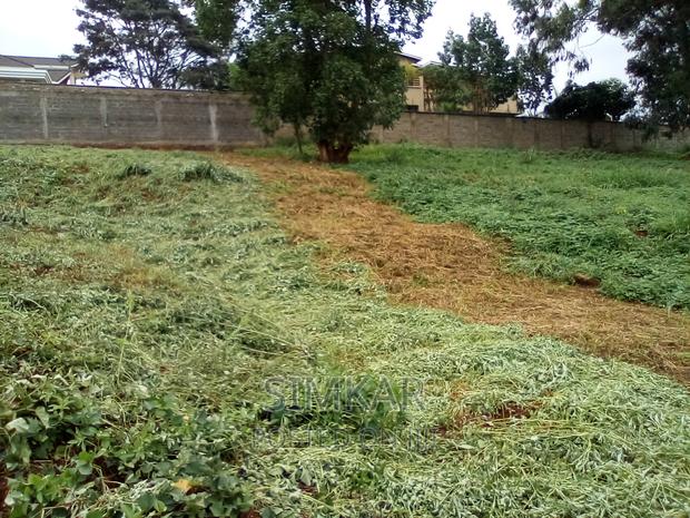 0.5-Acre Plots for Sale in Rosslyn - thumbnail 20