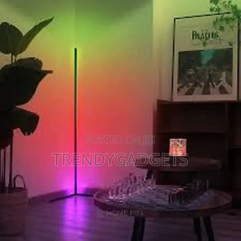 Modern Simple RGB Led Corner Floor Lamp