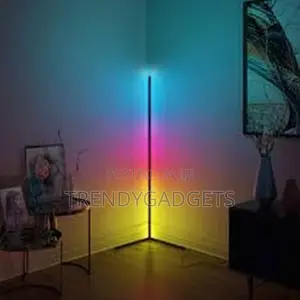 Colorful Atmosphere Lights Indoor Standing Lamps for Bedroom