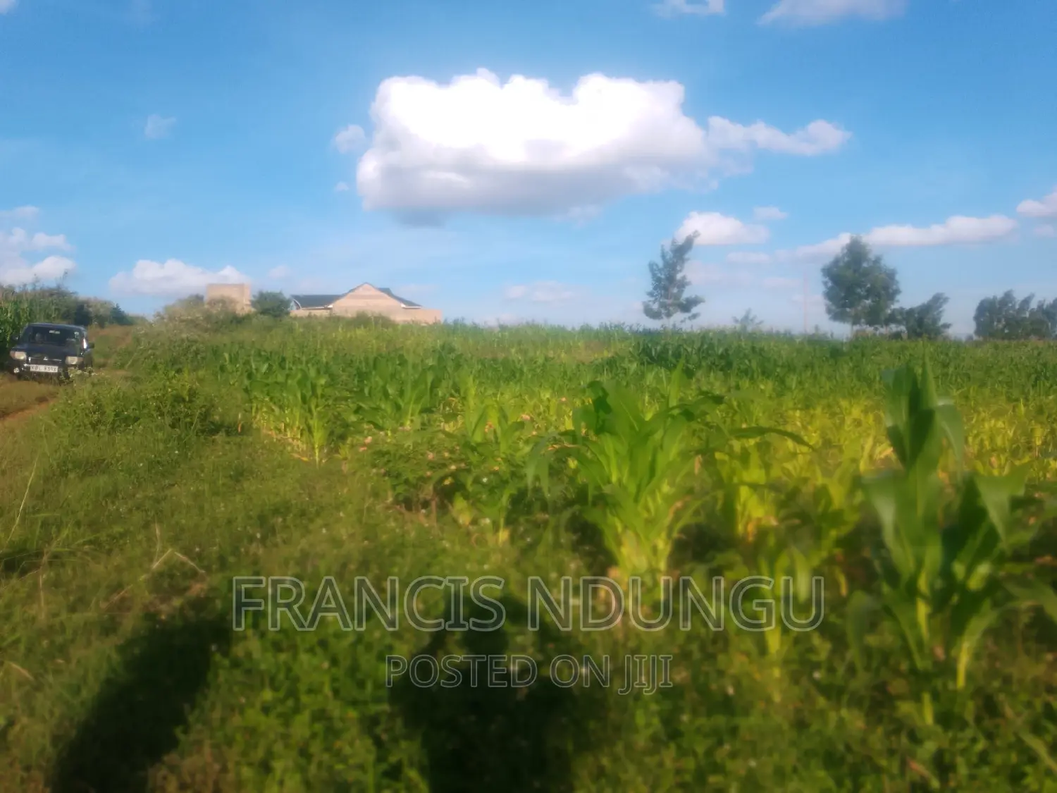 Residential Plots for Sale Tinganga Kiora Estate Kiambu.