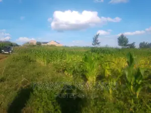 Residential Plots for Sale Tinganga Kiora Estate Kiambu.