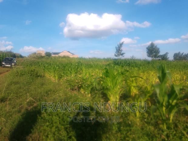Residential Plots for Sale Tinganga Kiora Estate Kiambu.