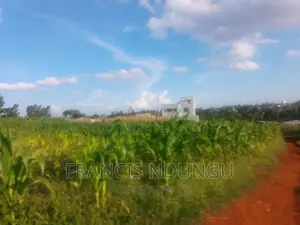 Residential Plots for Sale Tinganga Kiora Estate Kiambu.