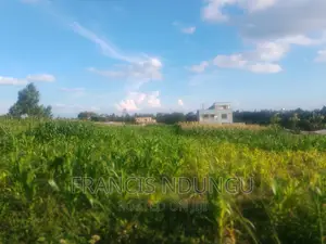 Residential Plots for Sale Tinganga Kiora Estate Kiambu.