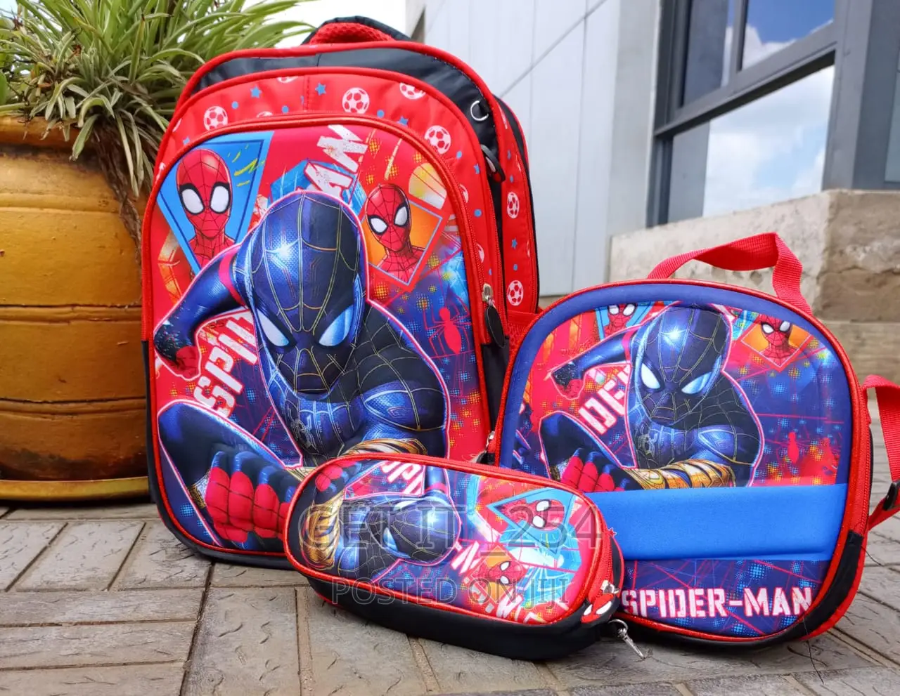 3 in 1 Cartoon Bag