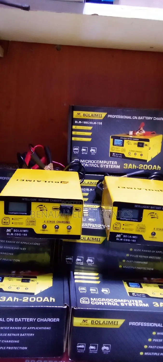 Electric Quick Battery Charger