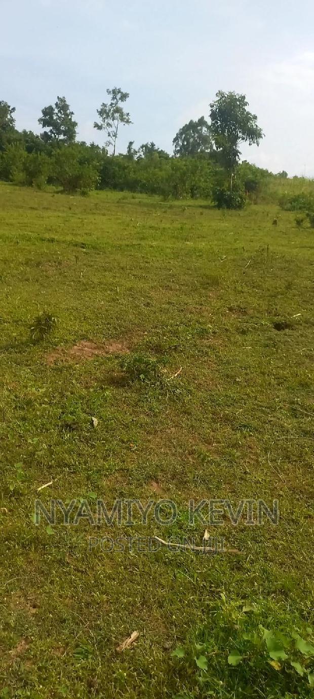 Sega Ugambe - main view