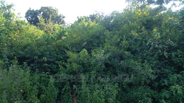 2 Acres in Galu Kinondo Beach on 2nd Beach Row - thumbnail 3
