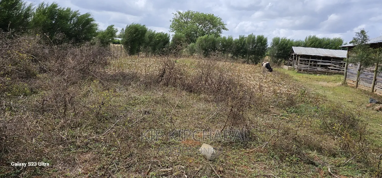 1 Acre With Store and Dairy Shed for Sale Imti Moja Eldoret