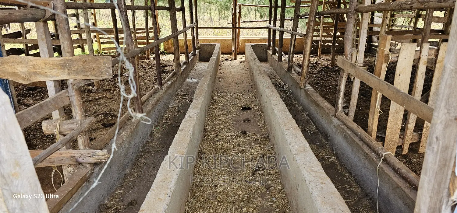 1 Acre With Store and Dairy Shed for Sale Imti Moja Eldoret