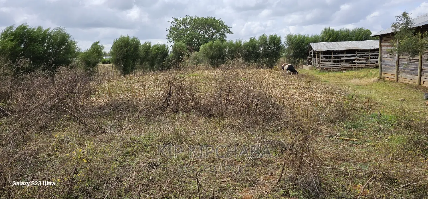 1 Acre With Store and Dairy Shed for Sale Imti Moja Eldoret