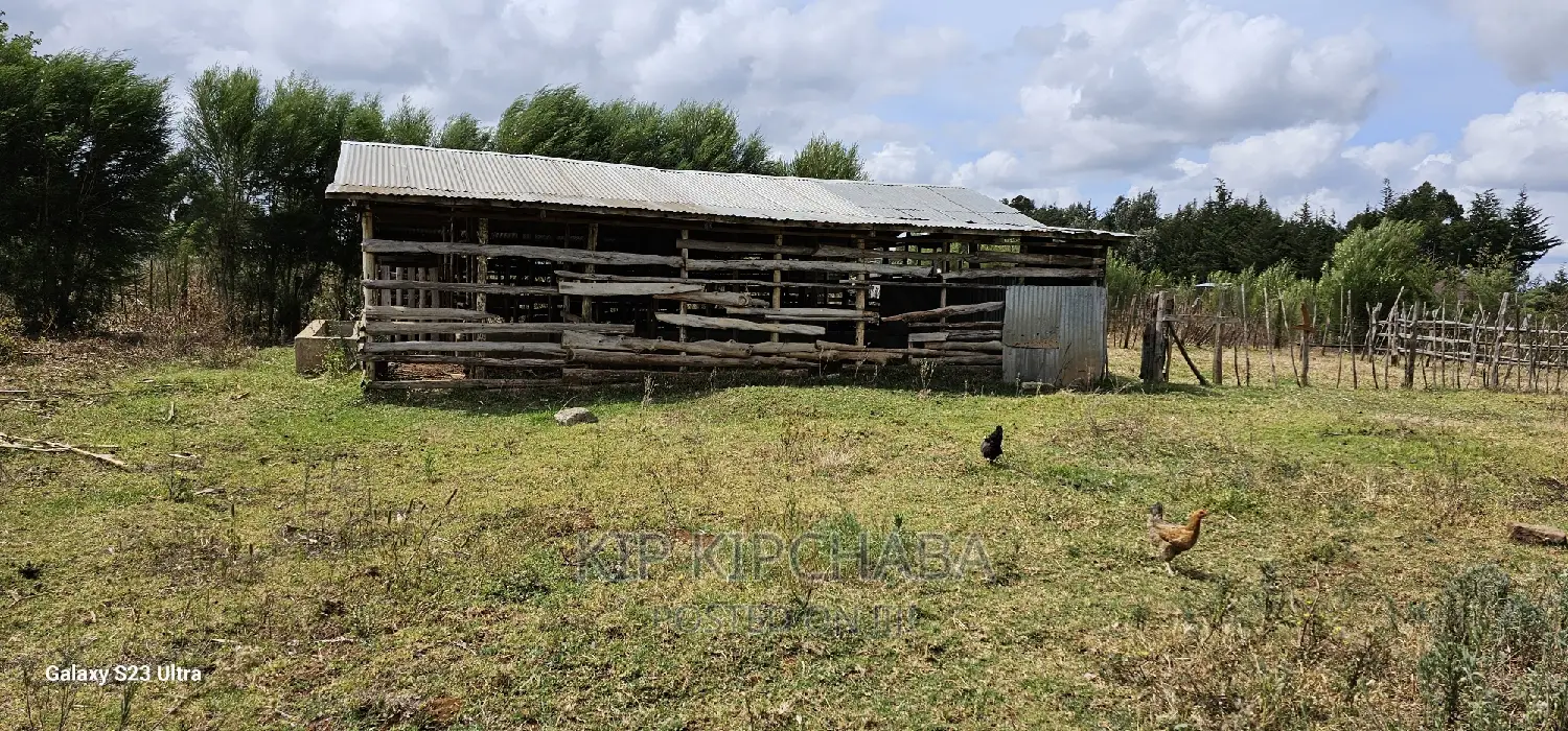 1 Acre With Store and Dairy Shed for Sale Imti Moja Eldoret