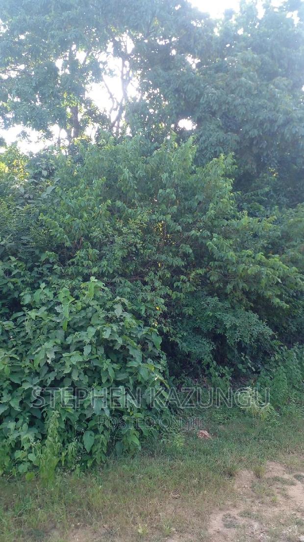 2 Acres in Galu Kinondo Beach on 2nd Beach Row - thumbnail 7