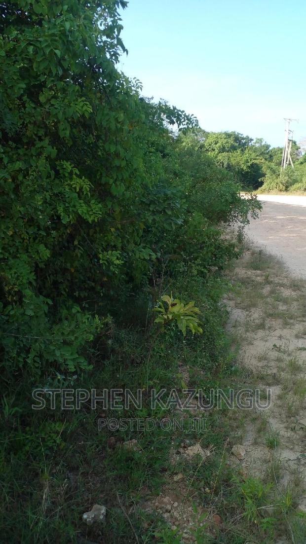 2 Acres in Galu Kinondo Beach on 2nd Beach Row - thumbnail 2