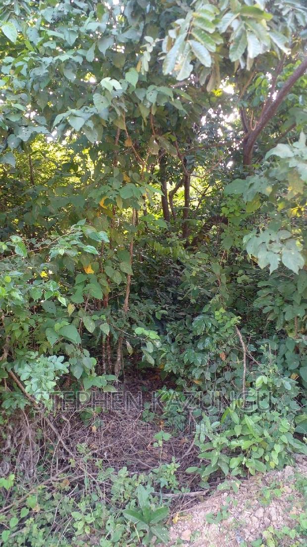 2 Acres in Galu Kinondo Beach on 2nd Beach Row - thumbnail 4