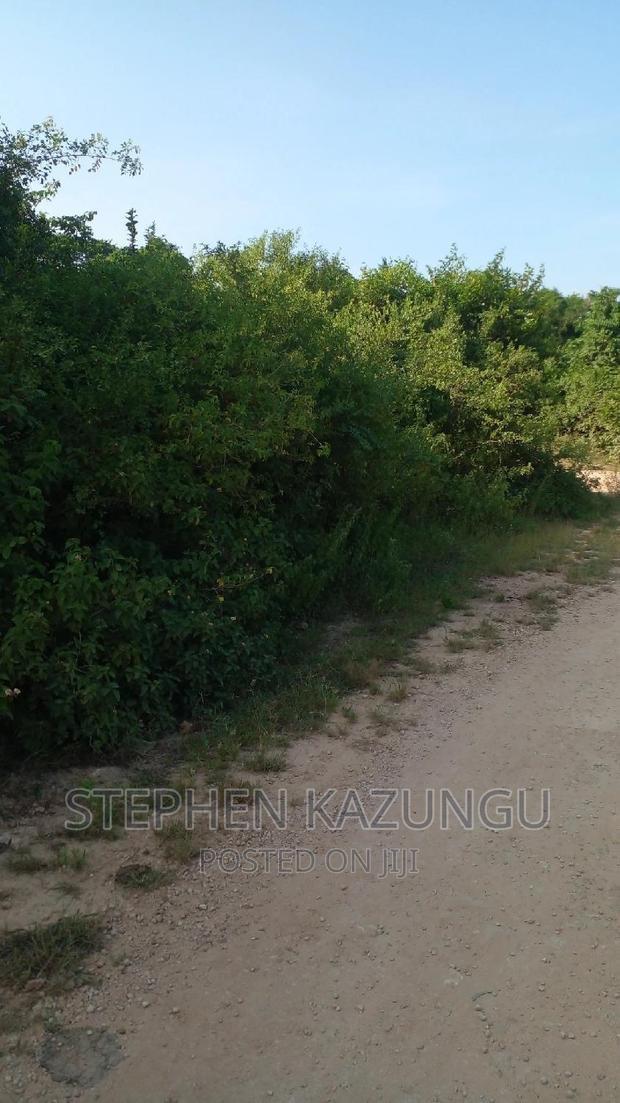 2 Acres in Galu Kinondo Beach on 2nd Beach Row - thumbnail 6