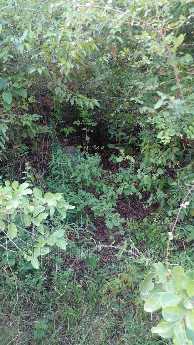 2 Acres in Galu Kinondo Beach on 2nd Beach Row - thumbnail 8