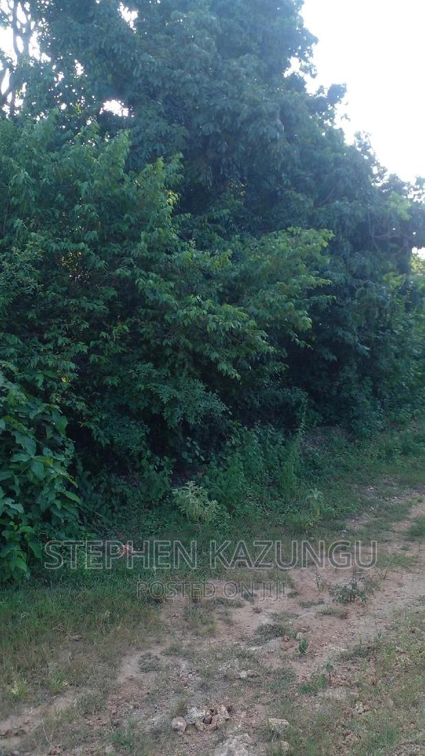 2 Acres in Galu Kinondo Beach on 2nd Beach Row - thumbnail 5