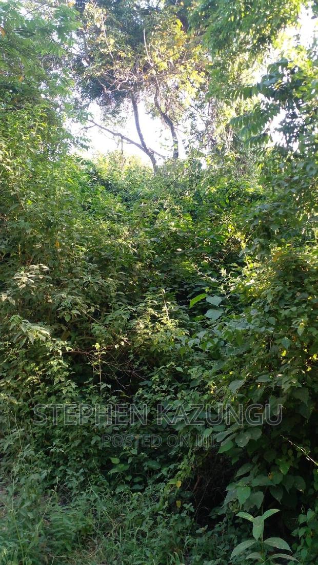 2 Acres Plot on the Galu Kinondo Beach, on 2nd Beach Row. - thumbnail 7