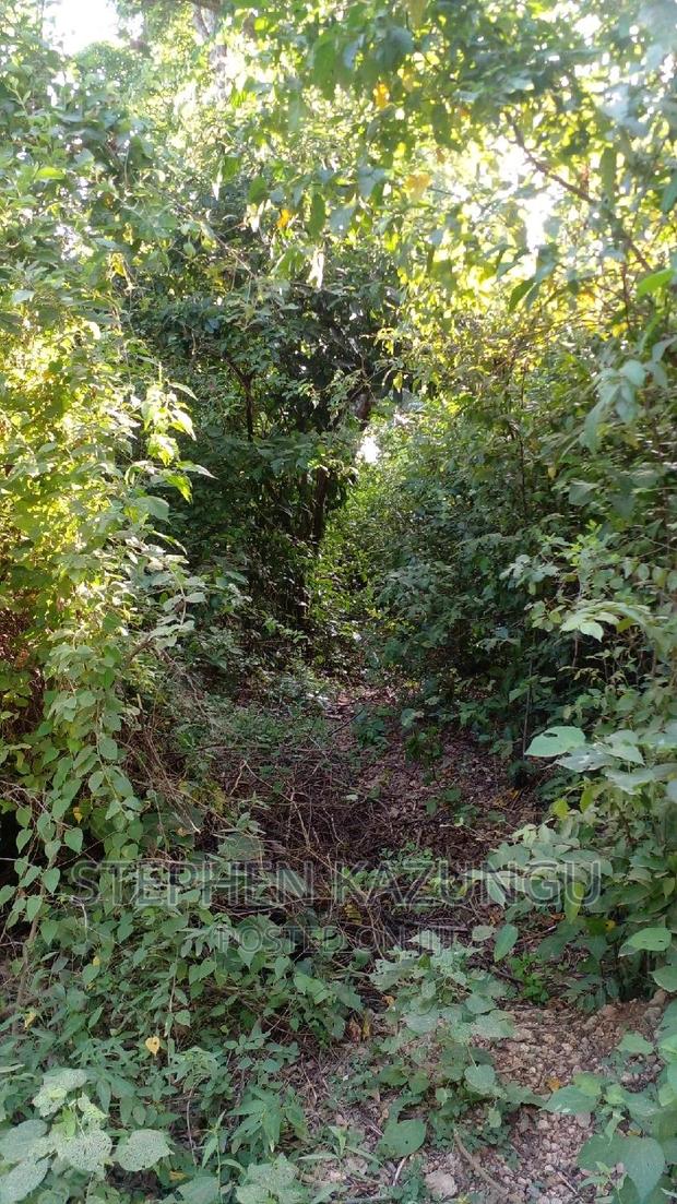 2 Acres Plot on the Galu Kinondo Beach, on 2nd Beach Row. - thumbnail 3