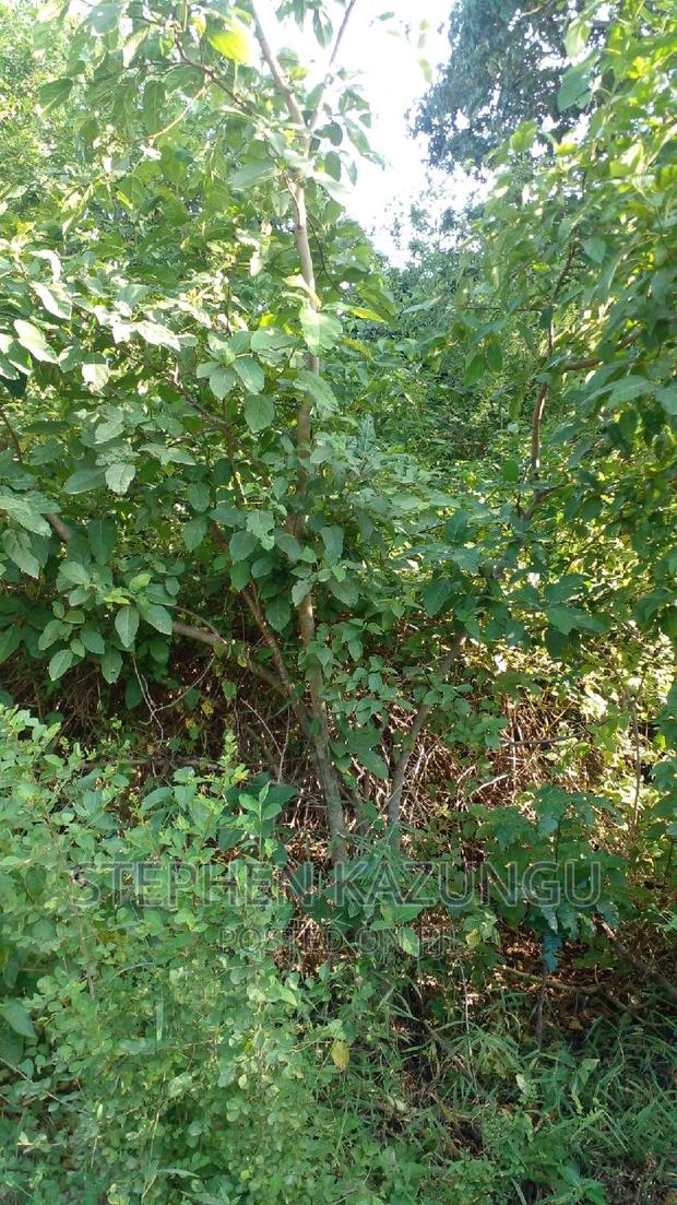 2 Acres Plot on the Galu Kinondo Beach, on 2nd Beach Row. - thumbnail 6