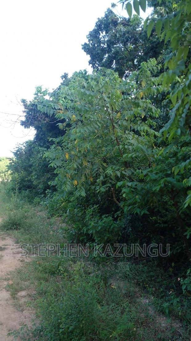 2 Acres Plot on the Galu Kinondo Beach, on 2nd Beach Row. - thumbnail 8