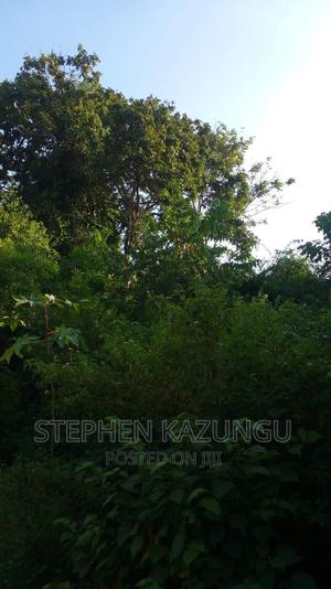 2 Acres Plot on the Galu Kinondo Beach, on 2nd Beach Row. - thumbnail 2