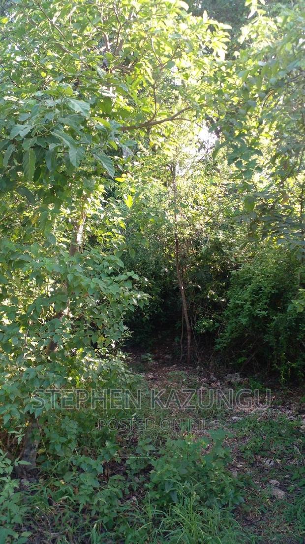 2 Acres Plot on the Galu Kinondo Beach, on 2nd Beach Row. - thumbnail 5