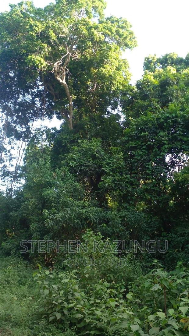 2 Acres Plot on the Galu Kinondo Beach, on 2nd Beach Row. - thumbnail 9