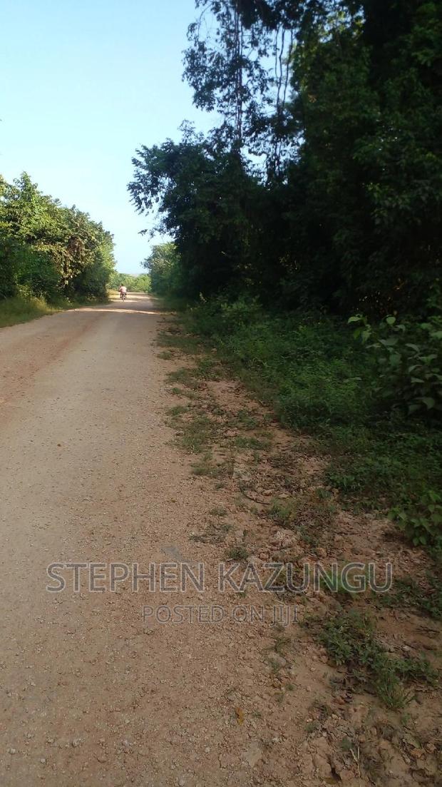 2 Acres Plot on the Galu Kinondo Beach, on 2nd Beach Row. - thumbnail 4