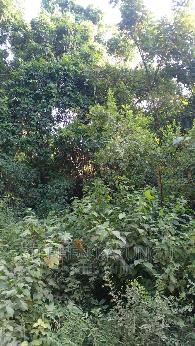 2 Acres Plot on the Galu Kinondo Beach, on 2nd Beach Row. - thumbnail 10