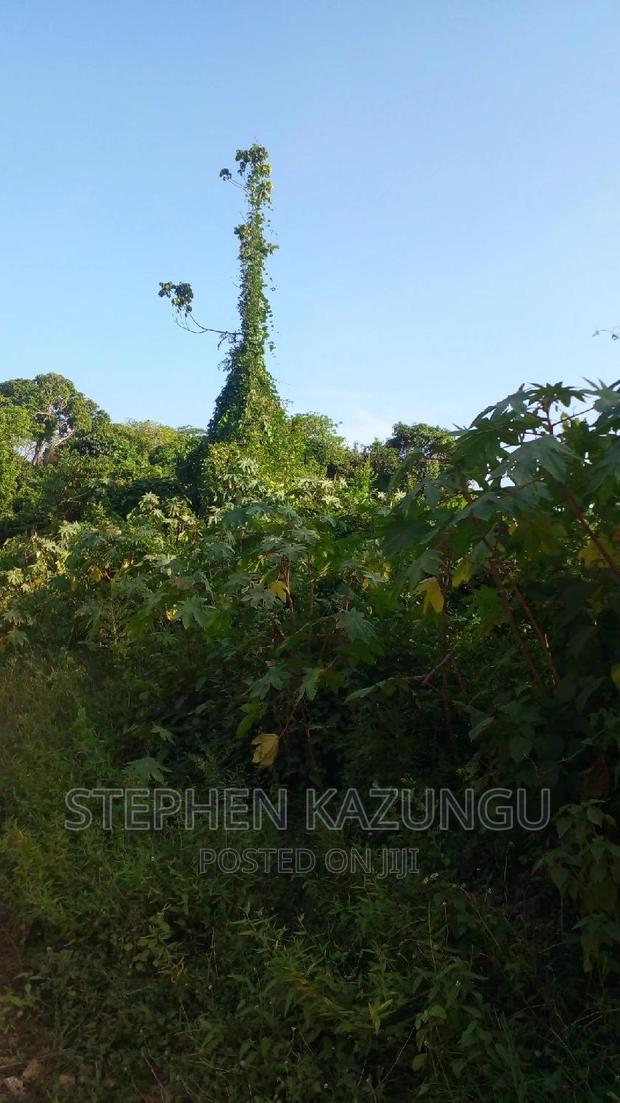 2 Acres Treasure of Land in Galu Kinondo Beach 2nd Beach Row - thumbnail 11