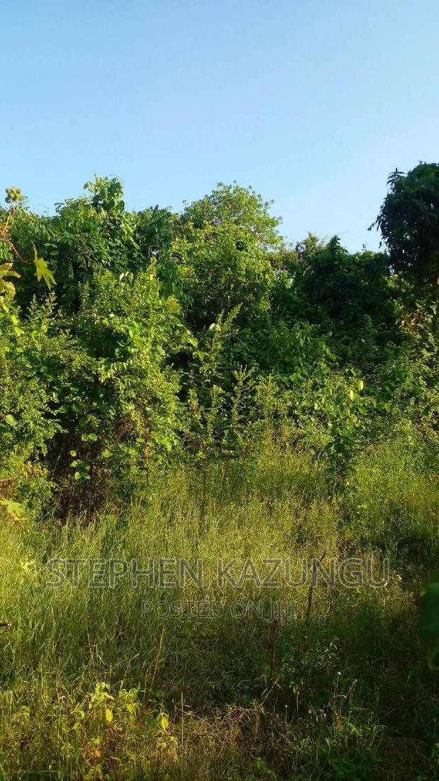 2 Acres Treasure of Land in Galu Kinondo Beach 2nd Beach Row - thumbnail 3