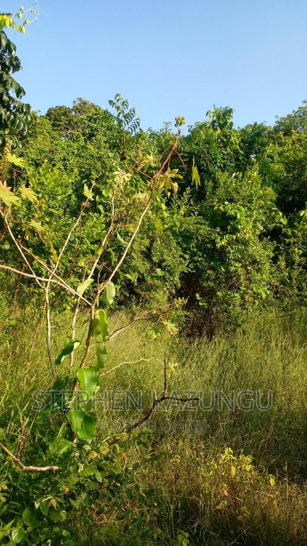 2 Acres Treasure of Land in Galu Kinondo Beach 2nd Beach Row - thumbnail 12
