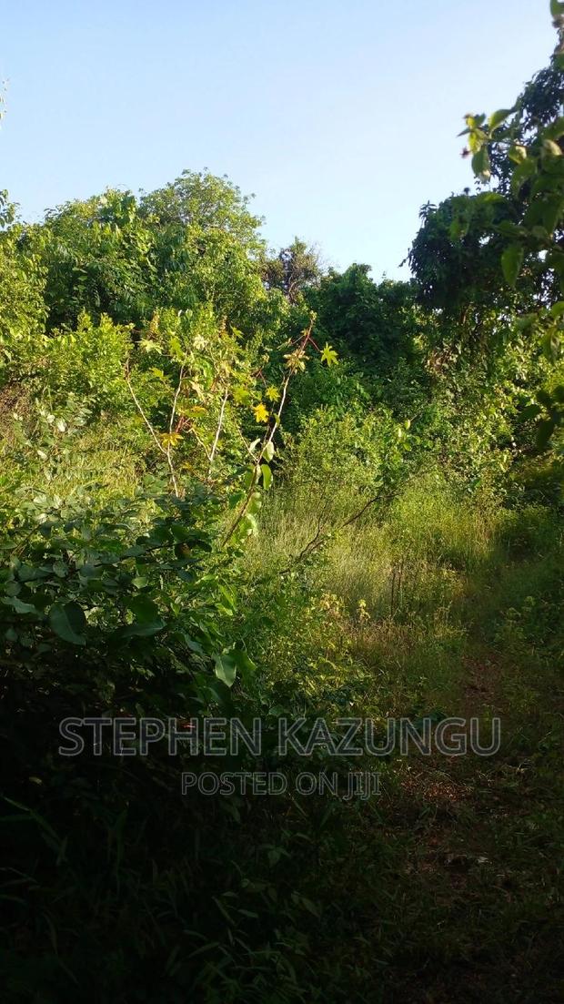 2 Acres Treasure of Land in Galu Kinondo Beach 2nd Beach Row - thumbnail 9