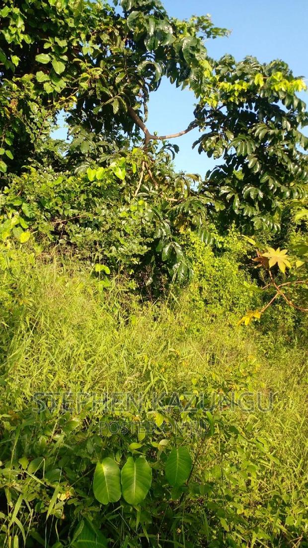 2 Acres Treasure of Land in Galu Kinondo Beach 2nd Beach Row - thumbnail 4