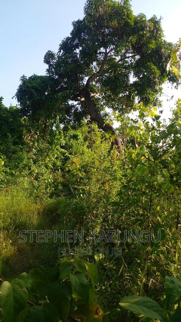 2 Acres Treasure of Land in Galu Kinondo Beach 2nd Beach Row - thumbnail 7