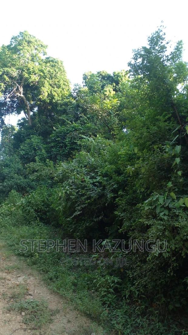 2 Acres Treasure of Land in Galu Kinondo Beach 2nd Beach Row - thumbnail 6