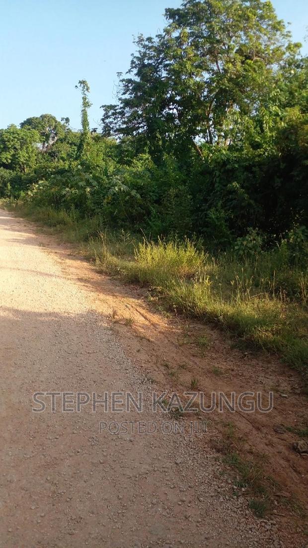 2 Acres Treasure of Land in Galu Kinondo Beach 2nd Beach Row - thumbnail 8