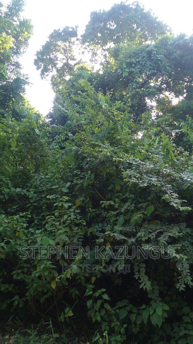 2 Acres Treasure of Land in Galu Kinondo Beach 2nd Beach Row - thumbnail 10