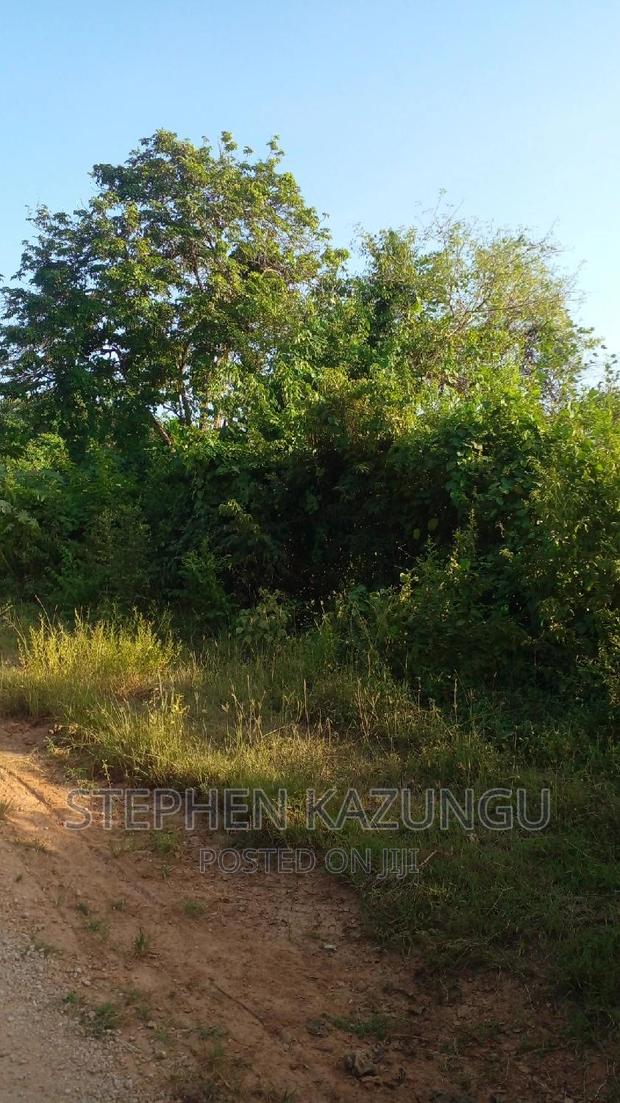 2 Acres Treasure of Land in Galu Kinondo Beach 2nd Beach Row - thumbnail 5