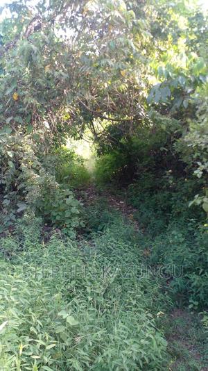 2 Acres Treasure of Land in Galu Kinondo Beach 2nd Beach Row - thumbnail 2