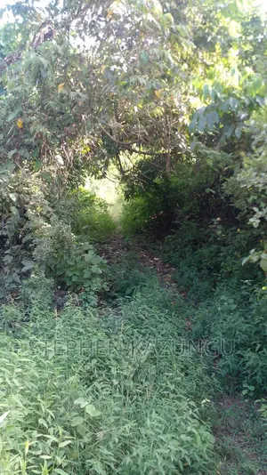 2 Acres Treasure of Land in Galu Kinondo Beach 2nd Beach Row