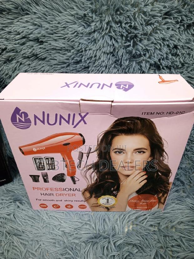 HD-01C Nunix Blow Dryer