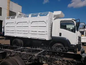 Brand New Isuzu FVR Truck