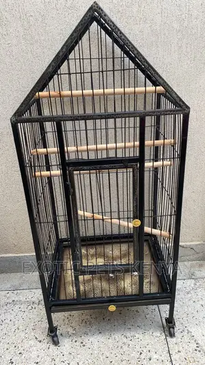 Parrot Cage