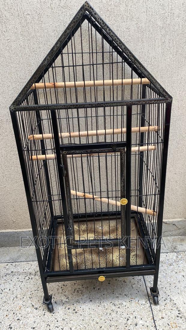 Parrot Cage - main view